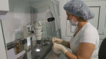 За 2018 год на Ставрополье выполнили более 1500 процедур экстракорпорального оплодотворения