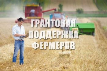 Вниманию руководителей крестьянских (фермерских) хозяйств: начинается конкурсный отбор!