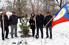 В городском парке Георгиевска высадили профсоюзную поляну