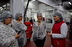 Федеральные журналисты посетили георгиевский мясокомбинат «Олимпия»