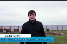 Как обрусевший сириец на Ставрополье сельское хозяйство поднимает