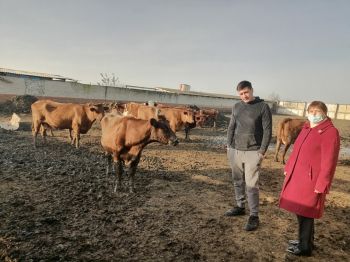 Животноводческие хозяйства Георгиевского округа готовы к зимовке скота
