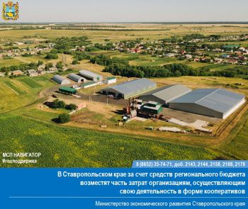 Конкурс на предоставление субсидий. В Ставропольском крае возместят затраты организациям, осуществляющих деятельность в форме кооперативов