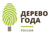 Кисловодская ель – претендент на победу в конкурсе «Российское дерево года»