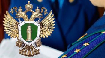 Местный житель осужден за надругательство над Государственным флагом Российской Федерации