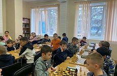 Шахматы – спорт интеллектуалов
